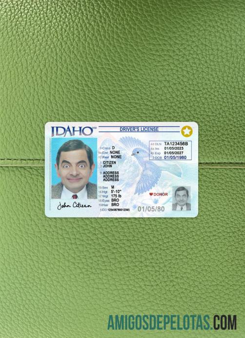 Carteira de motorista dos EUA Idaho 2023 presente fotolook frente amostra